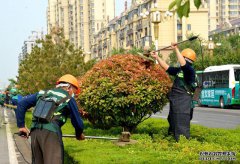 青州市：黨建紅+園林綠+環(huán)衛(wèi)橙，合力打造全域花園城市